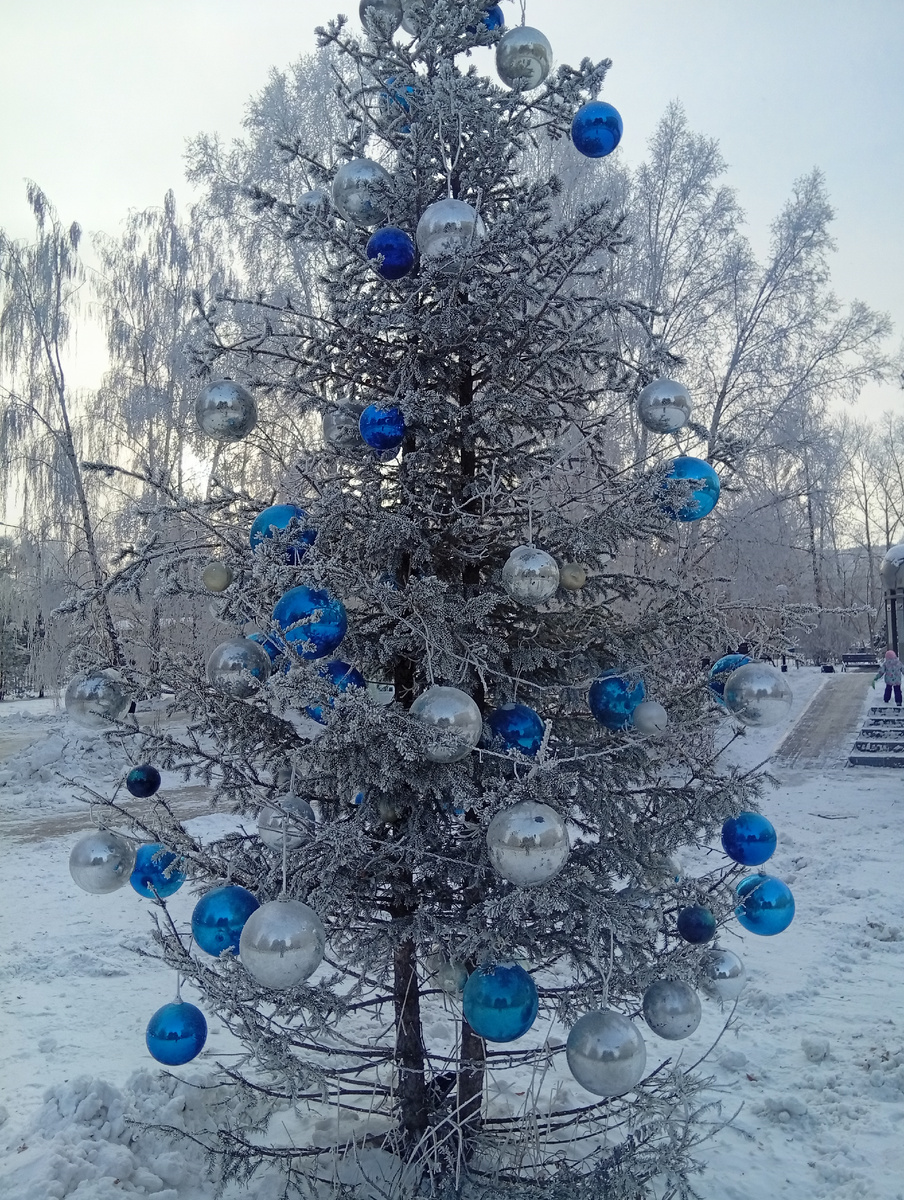 Фото автора статьи.Новогодняя елочка.