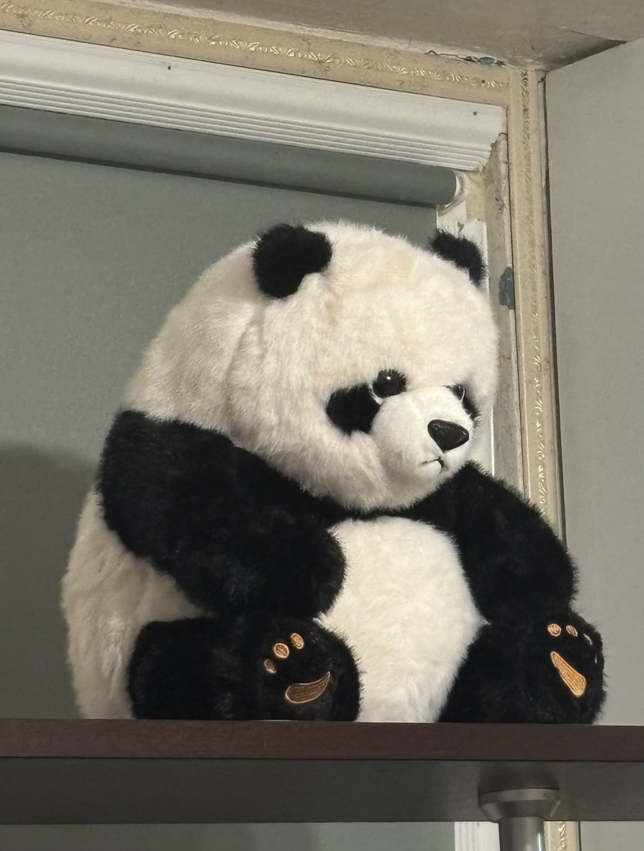 Вид у него был очень озадаченный.                                     