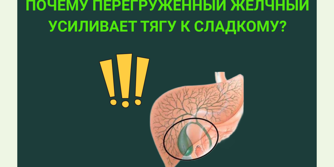 Почему перегруженный желчный усиливает тягу к сладкому?