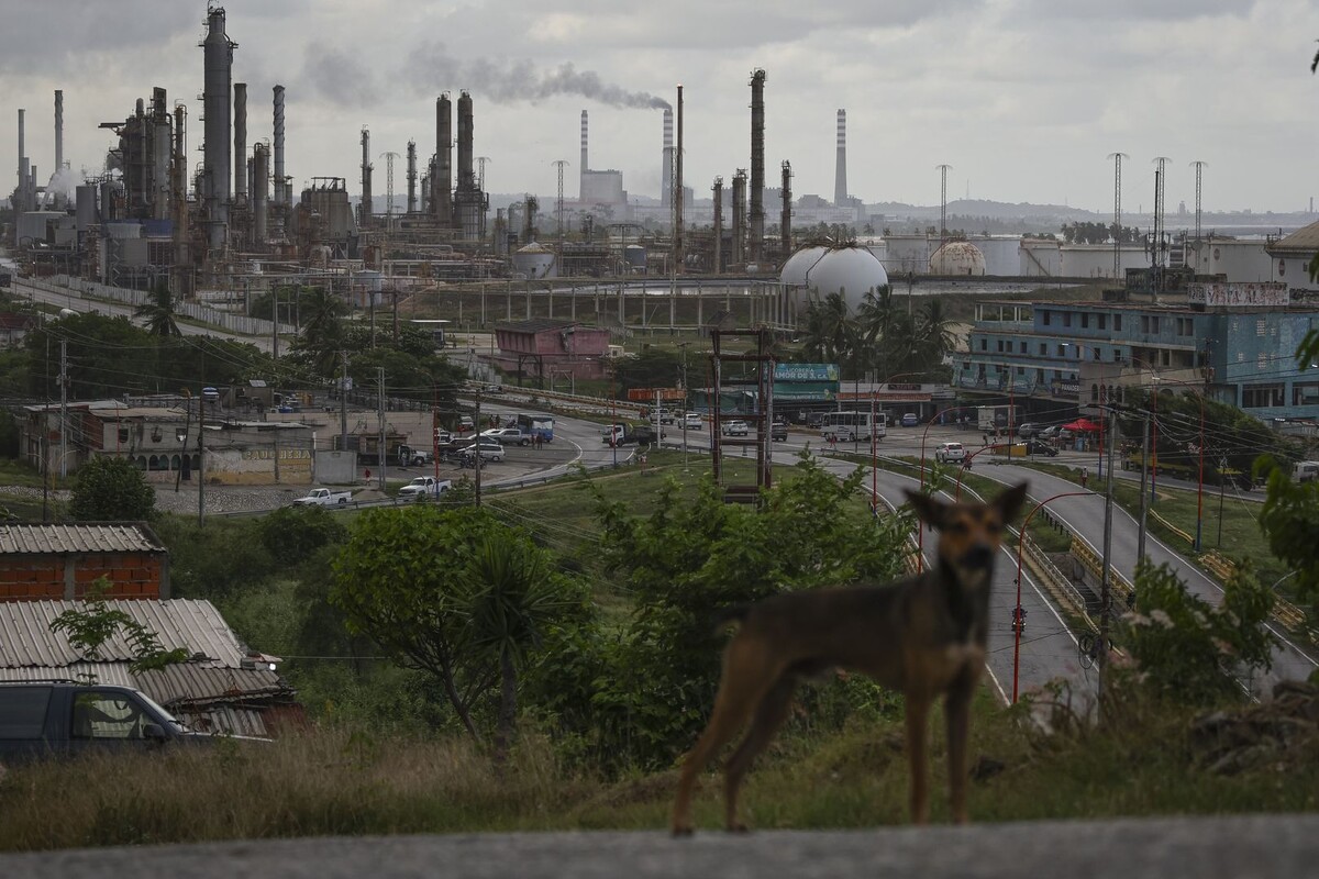     / Источник: © Global Look Press