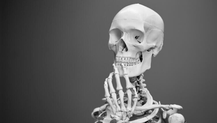    Для чего человеку скелет? Фото: Mathew Schwartz on Unsplash