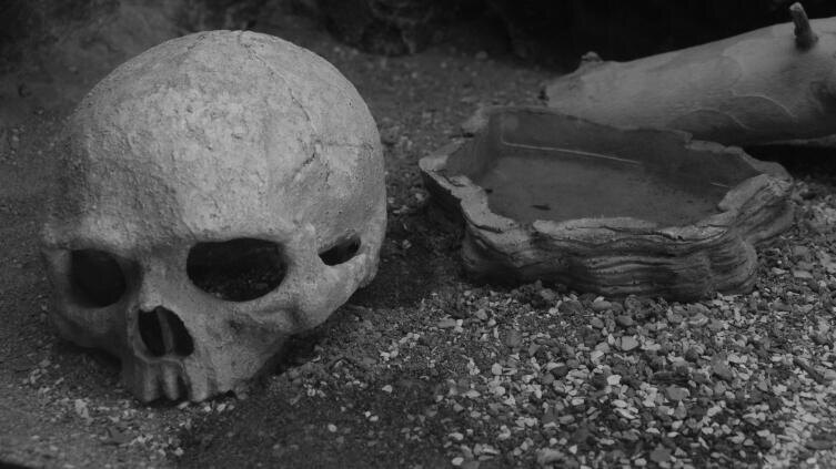    Фото: Soroush Bahramian on Unsplash