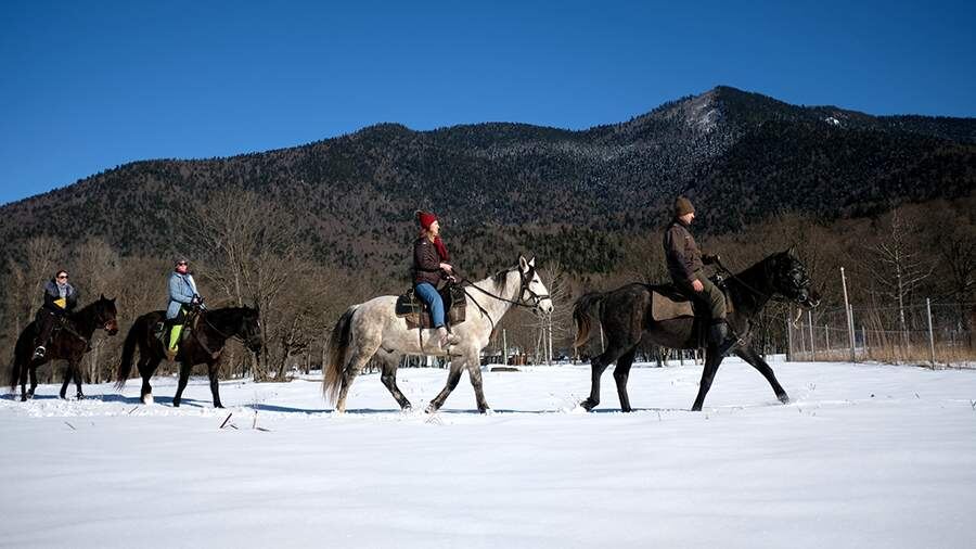    Фото: РИА Новости/Николай Хижняк