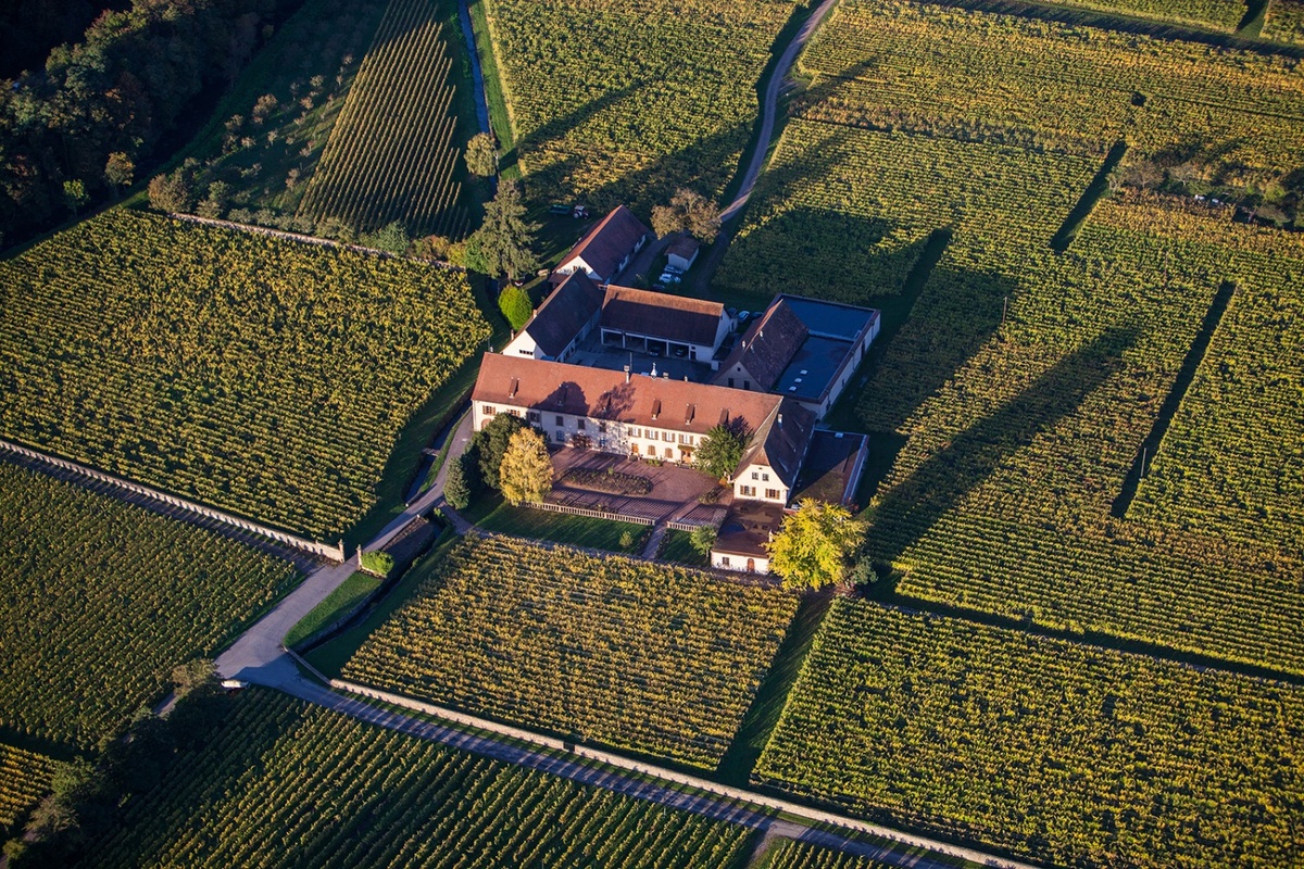 Винодельня Domaine Weinbach. Эльзас, Франция