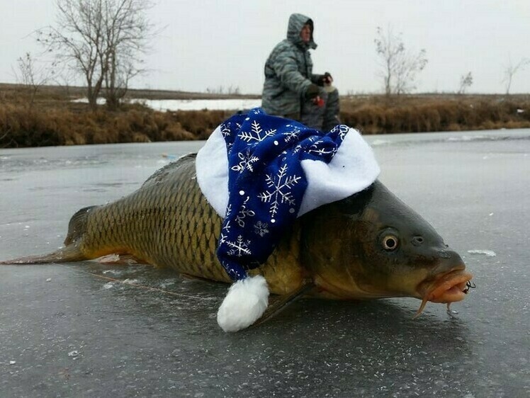     Фото: Коломийца Алексея.