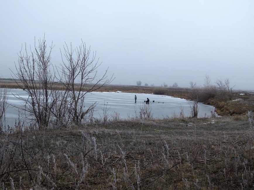     Фото: Коломийца Алексея.