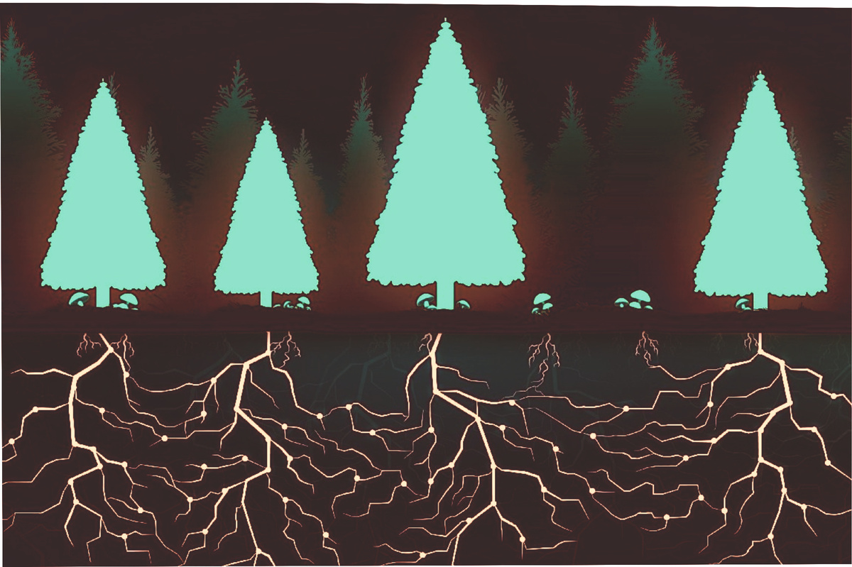 Тайная жизнь лесов