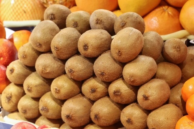    Фото: www.globallookpress.com/ Petrov Sergey/news.ru