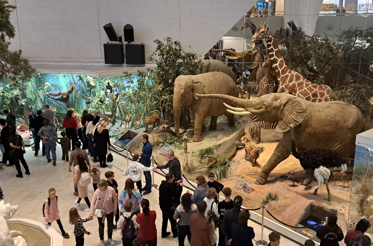 другой ракурс 