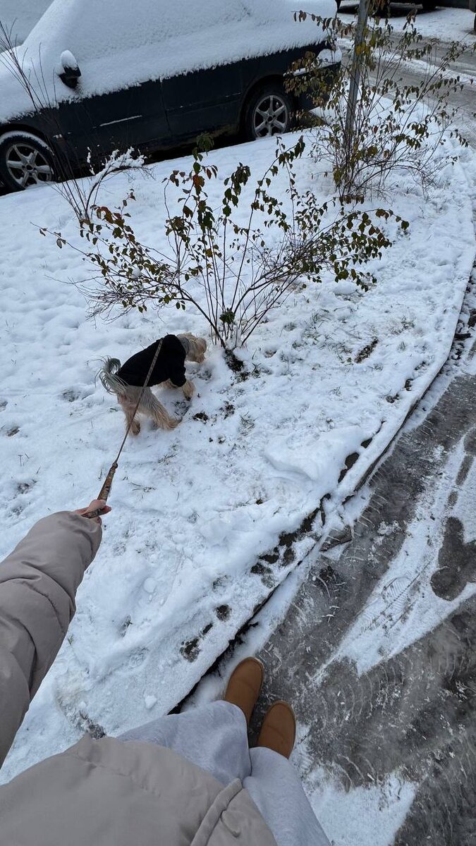 Люди гуляющие с моей собакой, в то время, когда я на работе, святые! 