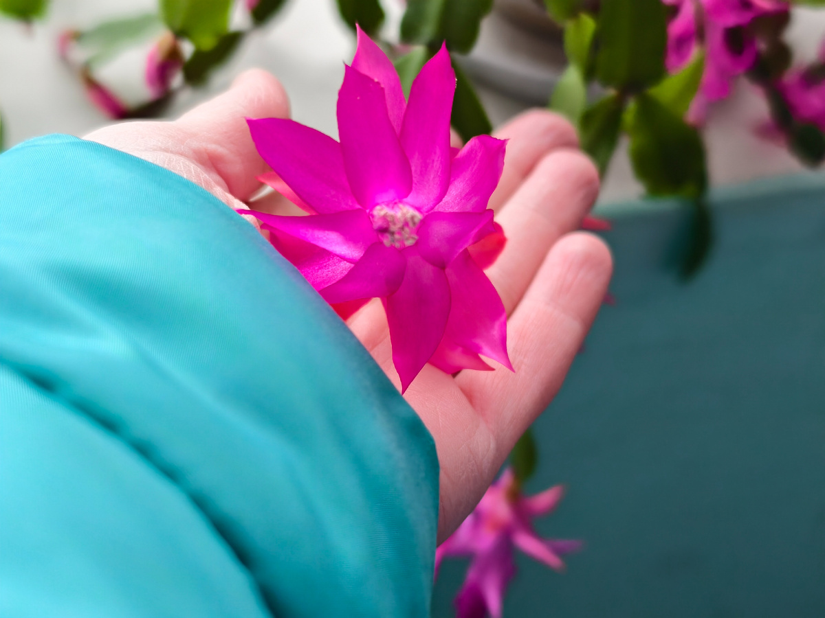 В подъезде многоквартирного дома