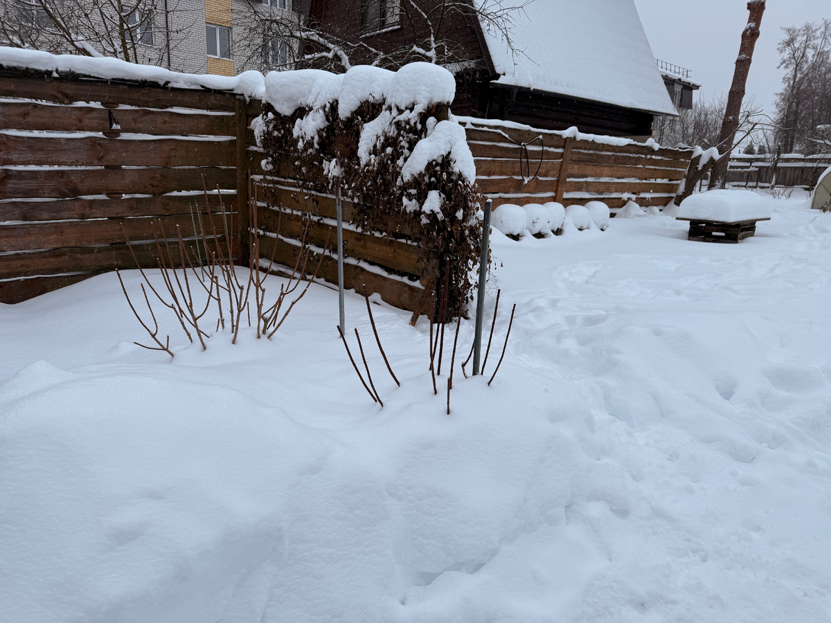 Забор, который весной я закрою