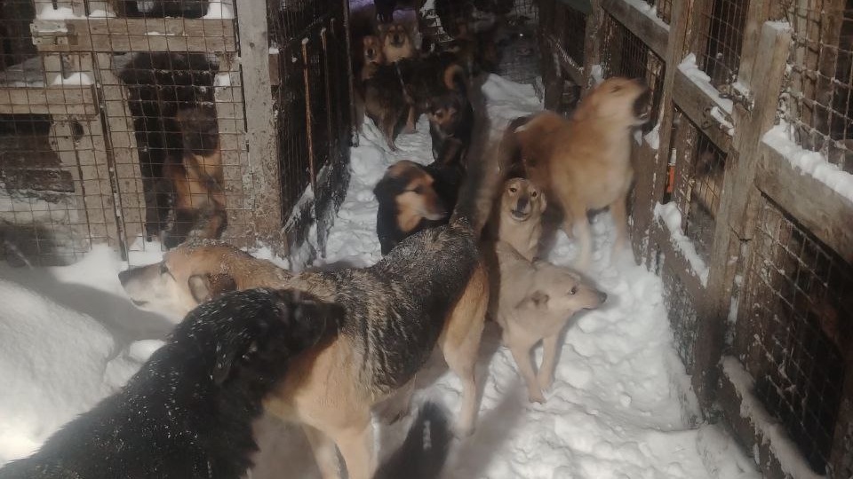 Мы в снежном плену, вызов трактора🙏