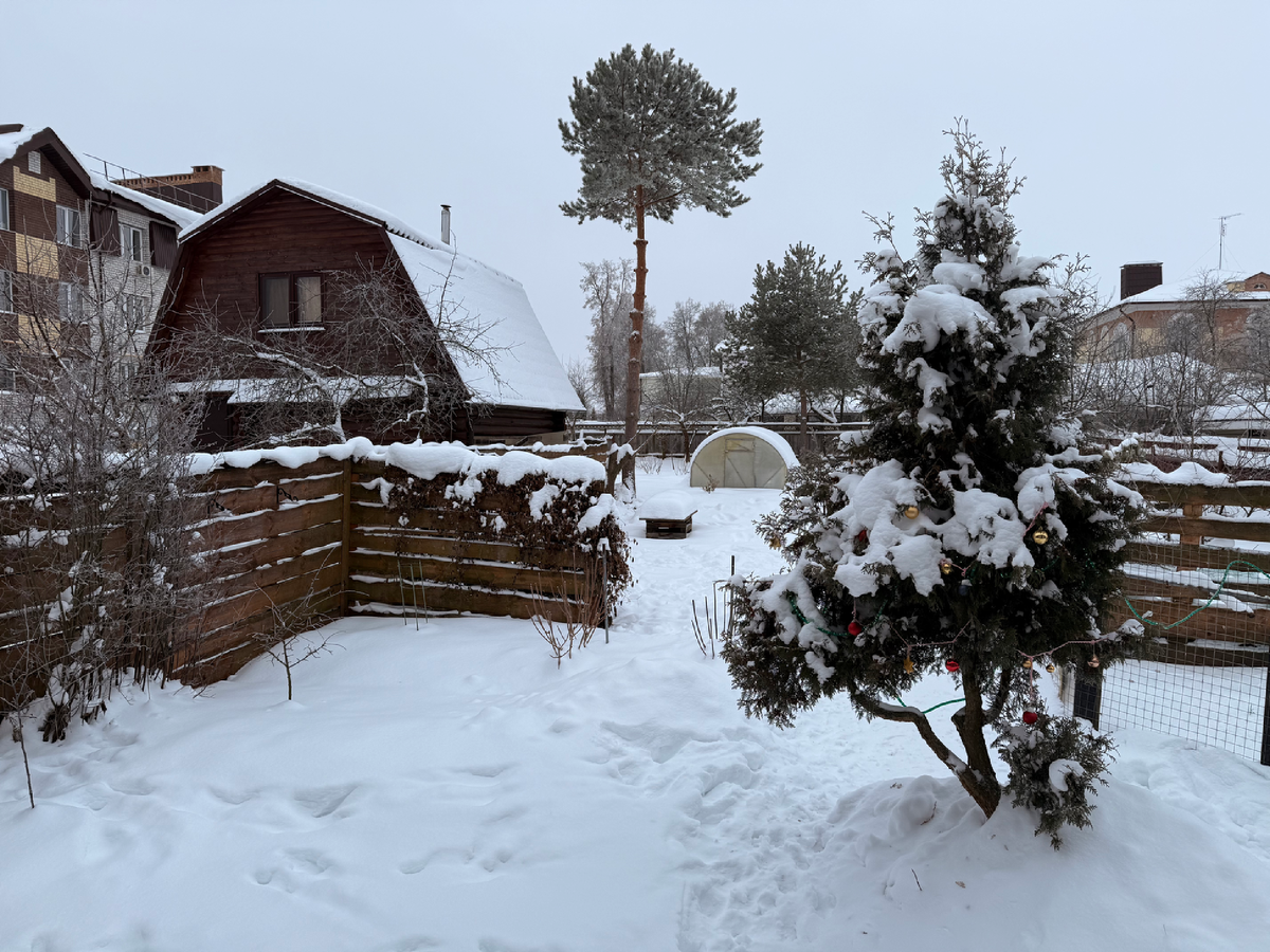 Вид из окна, каждый день начинается так, январь 2026