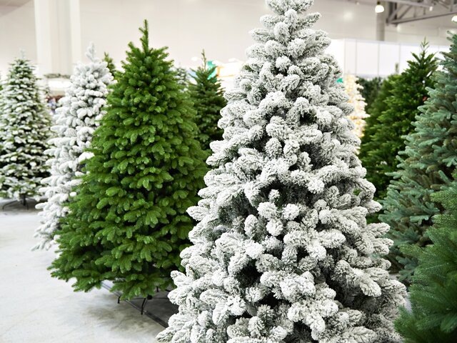    Фото: depositphotos/ryzhov