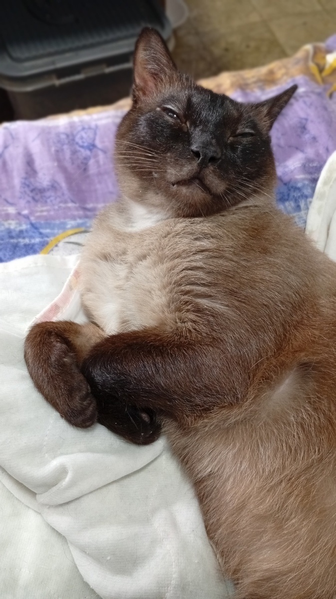 Фото из личного архива