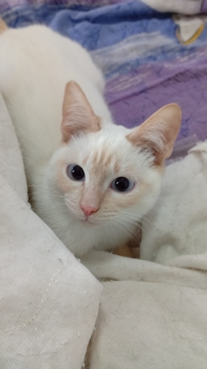 Фото из личного архива