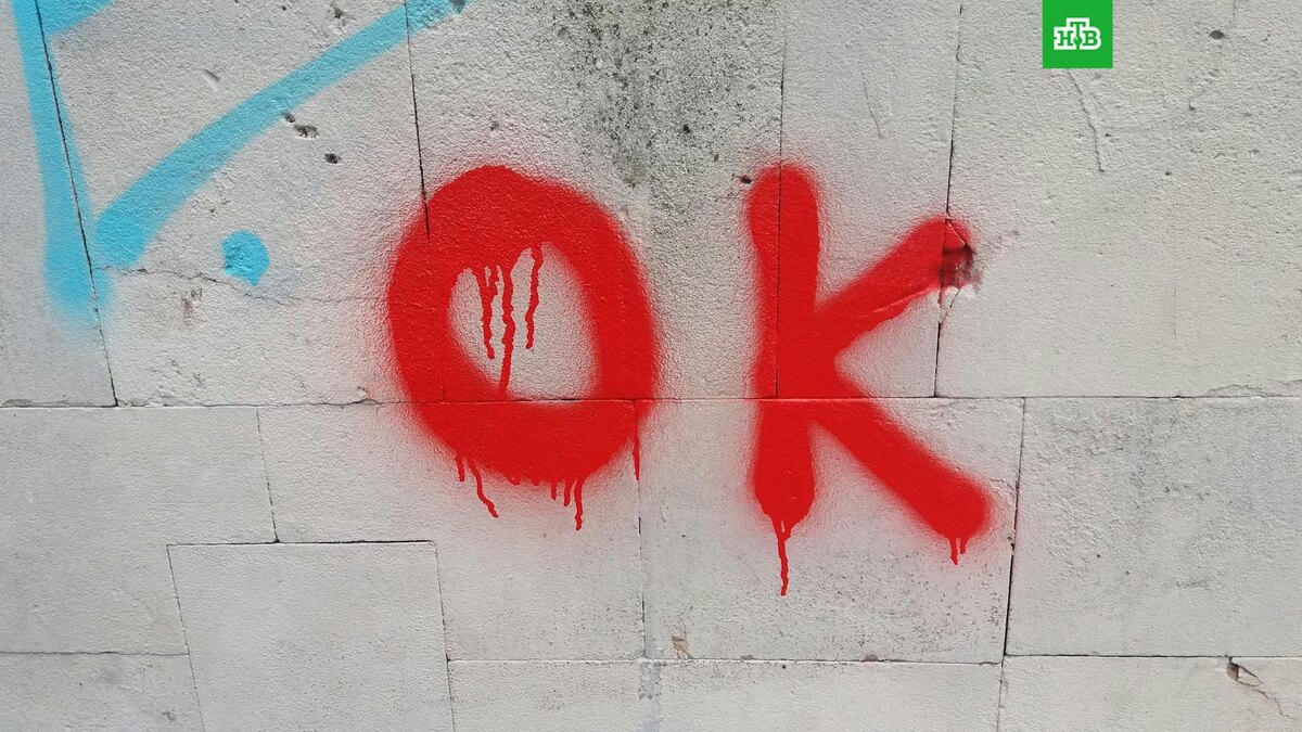    Фото: Marija Zaric / unsplash.com