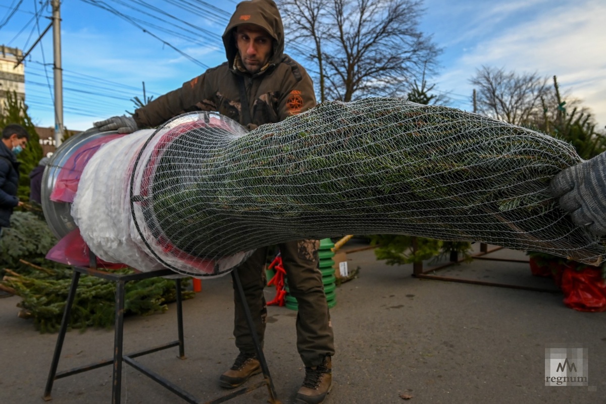     / Источник: Александр Погожев © ИА REGNUM