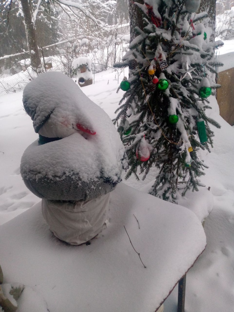 Вчера утром