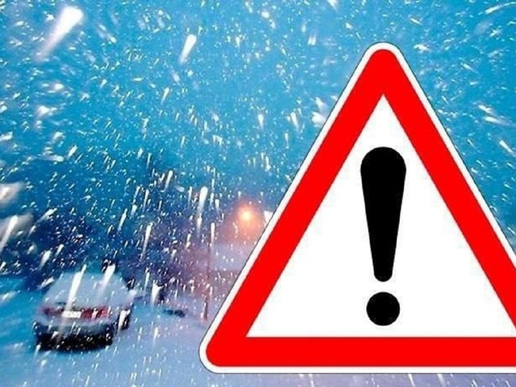     Фото: ГАИ Новосибирской области