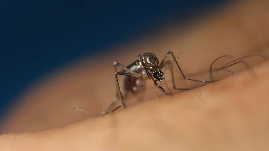    Фото: Global Look Press/Yue Dongxing