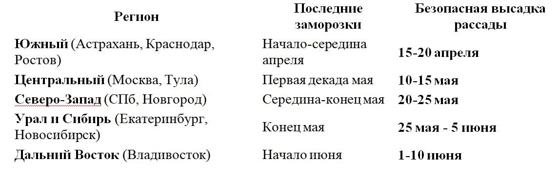 Таблица и фото Натальи Мироновой