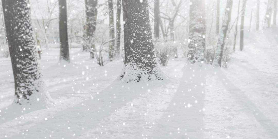 Что нельзя делать 11 января, иначе станет больше бед и финансовых проблем: Народные приметы на Страшный день