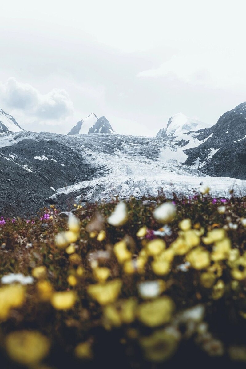    Путь к Софийскому леднику. Источник: Алексей Чунихин/"Наш Алтай | Горно-Алтайск"