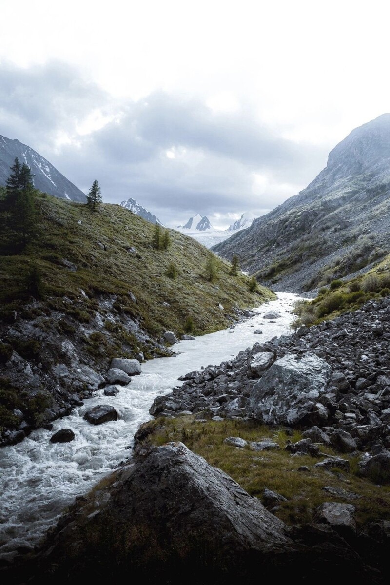    Путь к Софийскому леднику. Источник: Алексей Чунихин/"Наш Алтай | Горно-Алтайск"