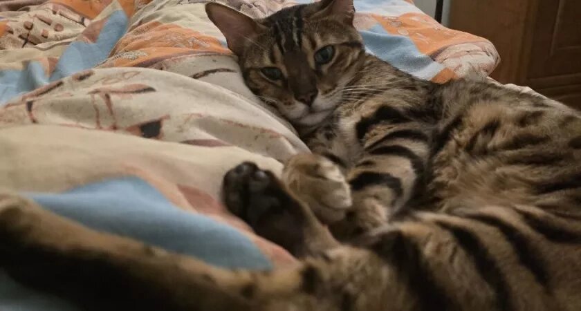    Фото Анастасии Дмитриевой