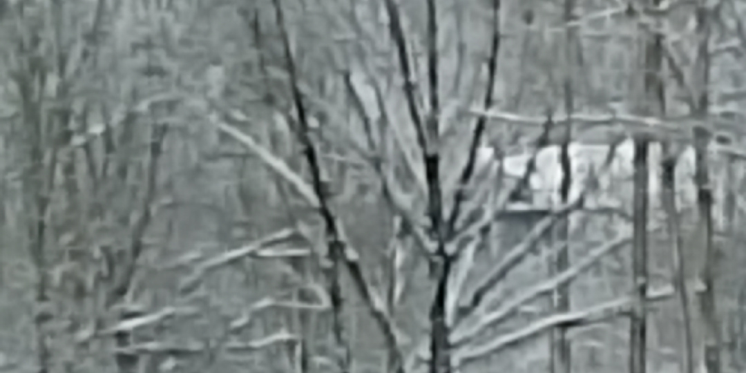 Чем заняться пенсионерам.