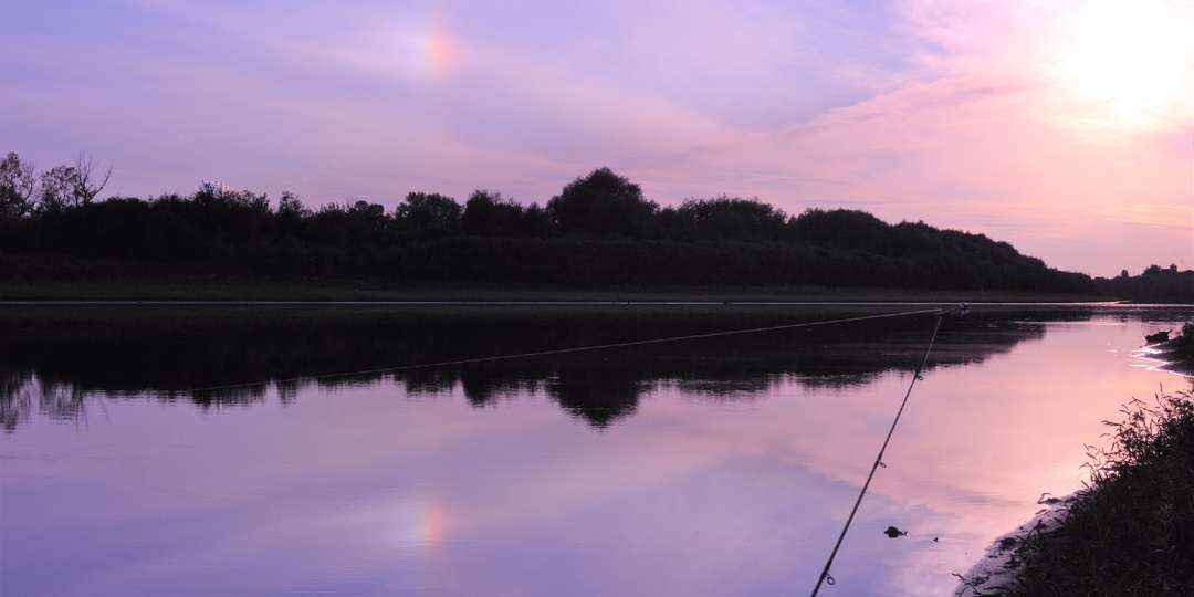 Анна и книга прошлого