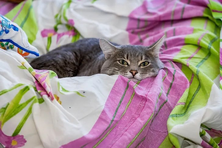    Фото Андрея Заржецкого