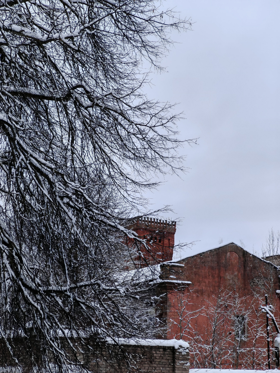 Они же в 2026 г. 