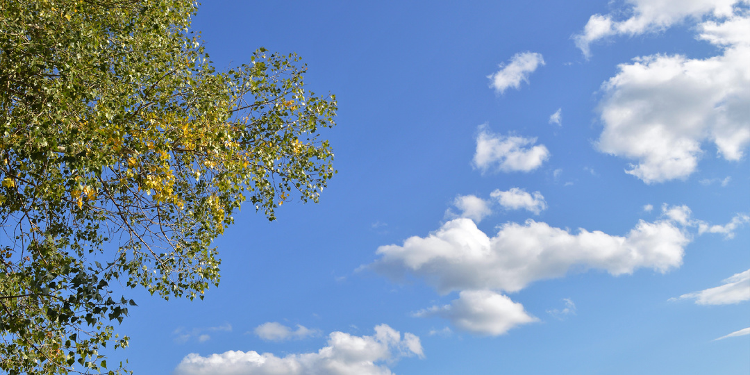 Ну что ты плачешь, моя родная