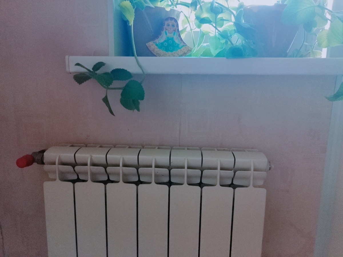    Фото: Марина Куцина