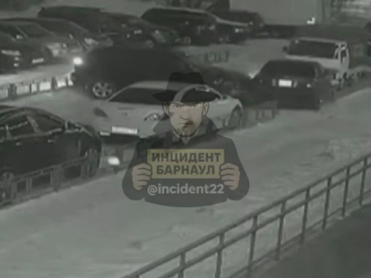     Фото: скриншот видео "Инцидент Барнаул"