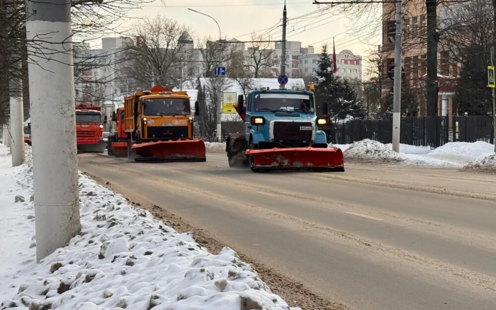    Фото: "Брянские новости"