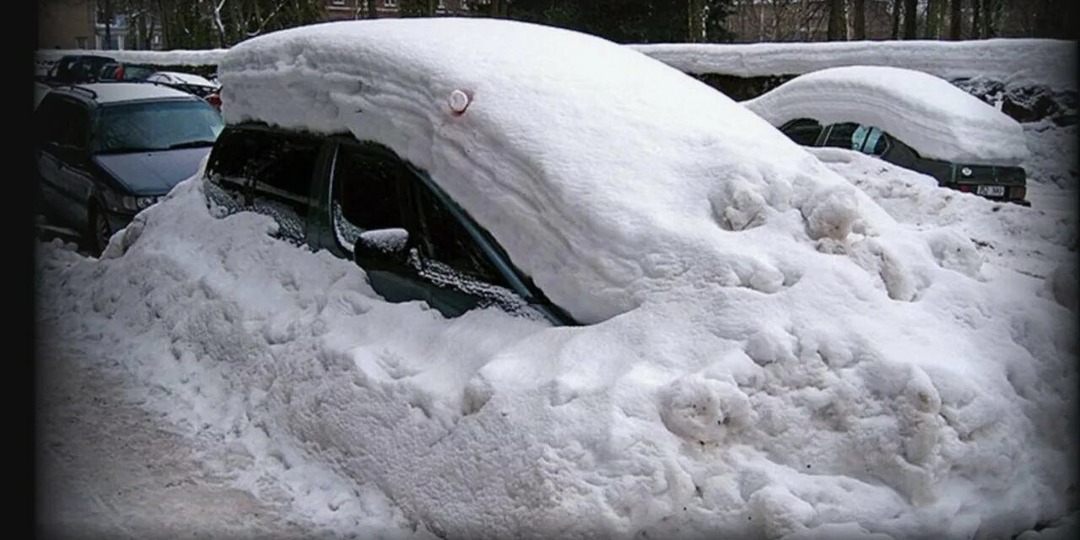 Снегопад в Москве: почему привычный снег каждый год становится проблемой