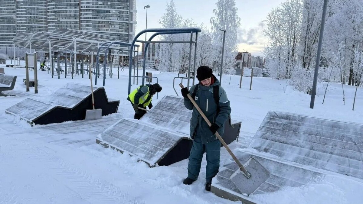   Telegram-канал председатель Комитета по благоустройству Санкт-Петербурга Сергея Петриченко