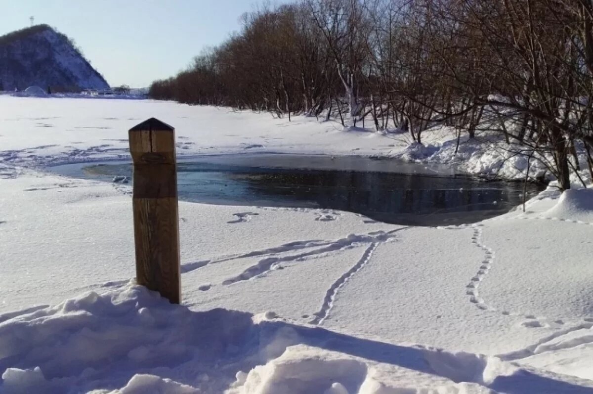    На Култучном озере в Петропавловске наблюдается засилье крыс