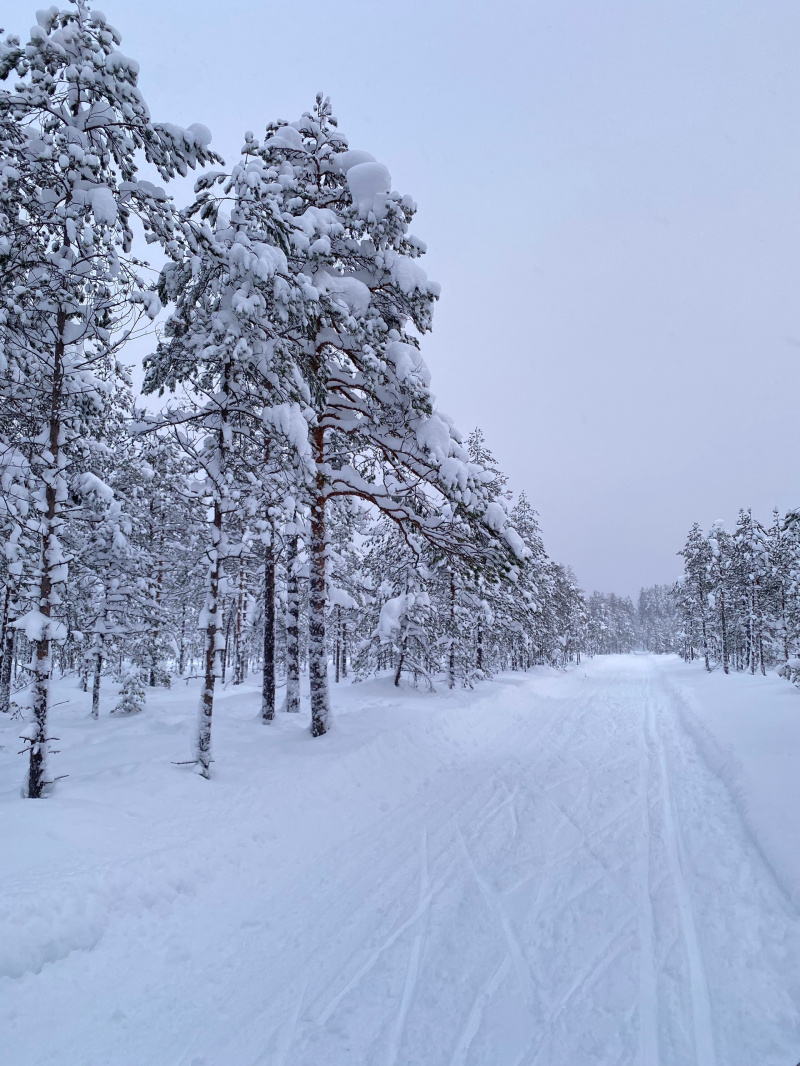    Где интересно отдохнуть 10 января в ПетрозаводскеИрина Яковлева