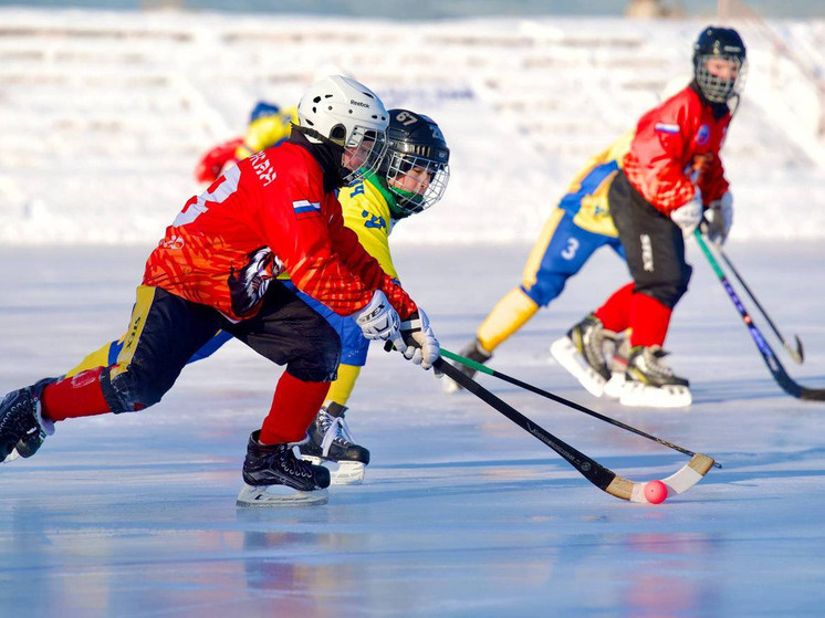     В Биробиджане турнир по хоккею с мячом закончился победой «Надежды» фото: пресс-служба областного департамента по физической культуре и спорту ЕАО