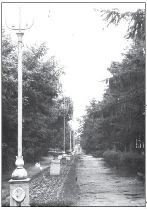 Так выглядела главная аллея парка в советское время. Фото из городского музея