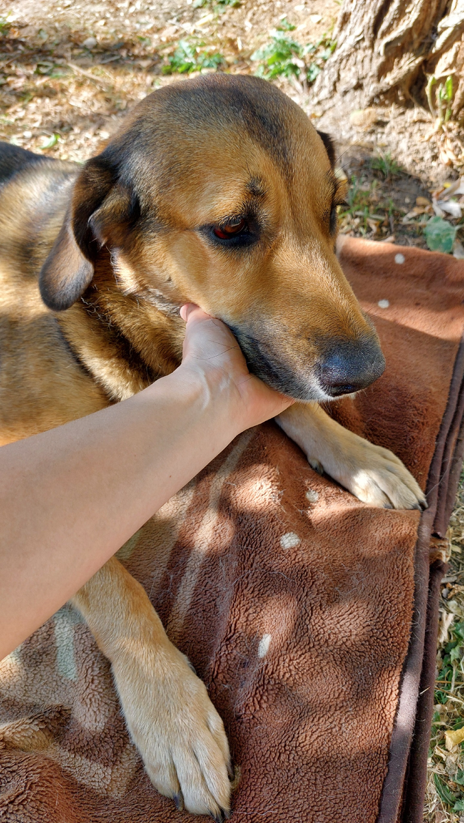 Через 2 часа после аварии - я в шоке
