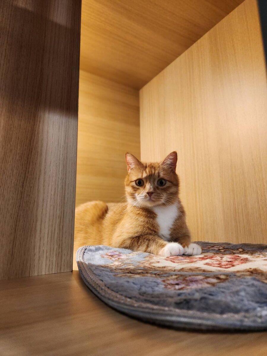 фото из личного архива