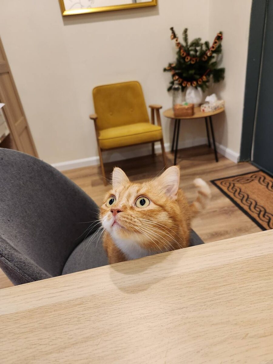 фото из личного архива