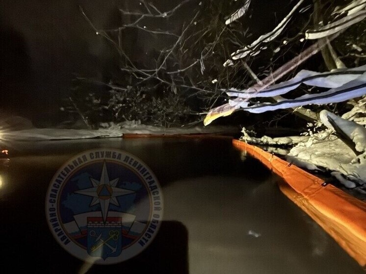     Фото: телеграм-канал аварийно-спасательной службы Ленобласти.