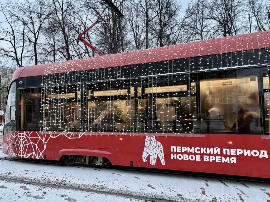    Фото: В курсе.ру Полина Анкушина